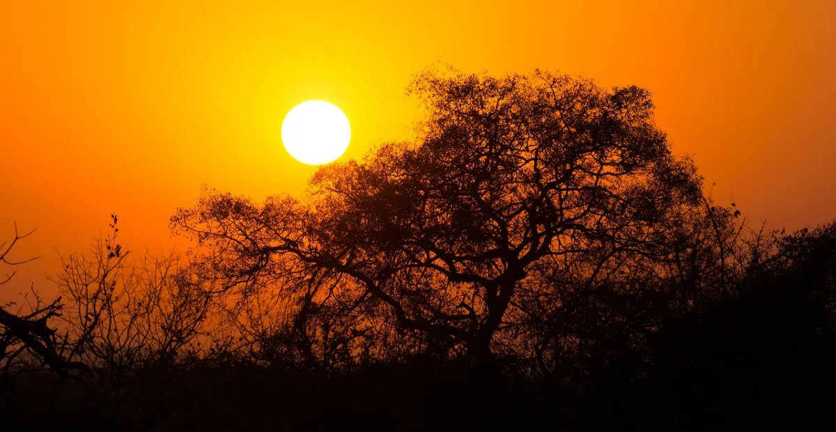 south africa and  sunrise in Kruger National Park, South Africa