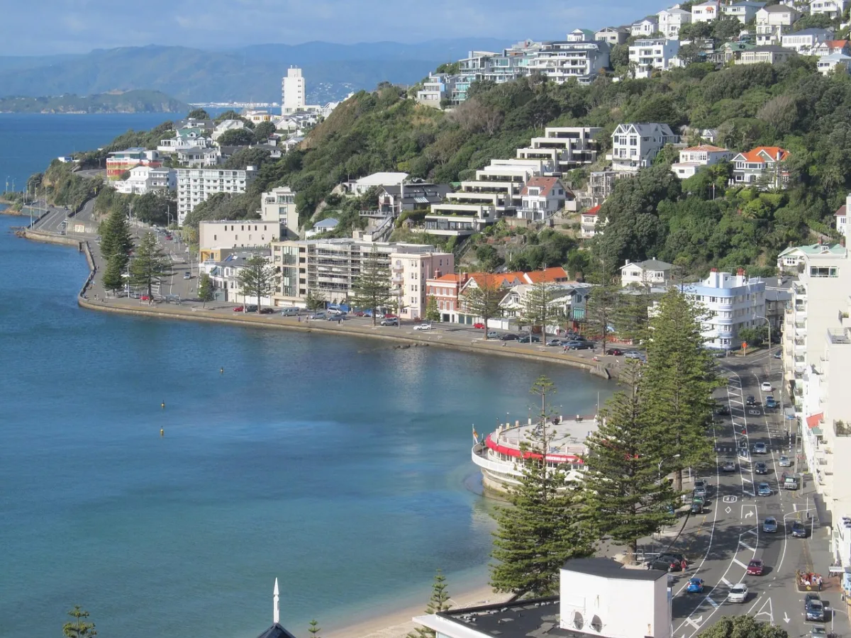 wellington and  oriental bay in Wellington, New Zealand